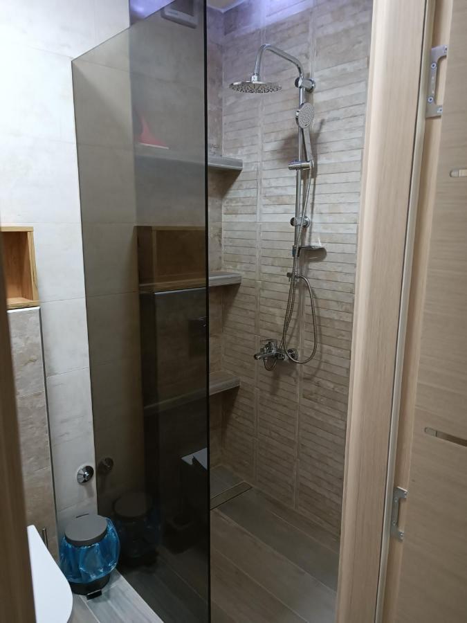 Apartment Serbian - 44, Gandijeva 184 Bezanija